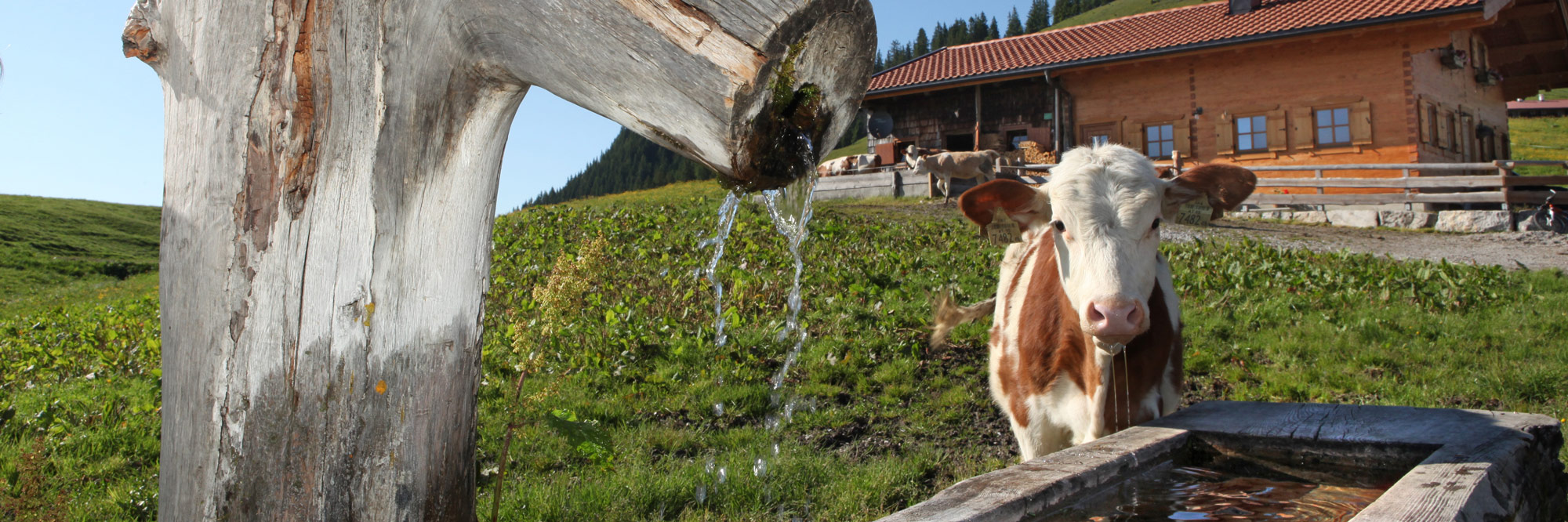 Almurlaub im Saalachtal