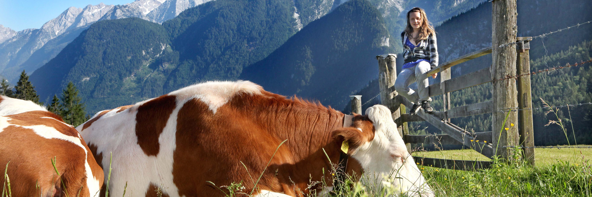 Almurlaub im Saalachtal