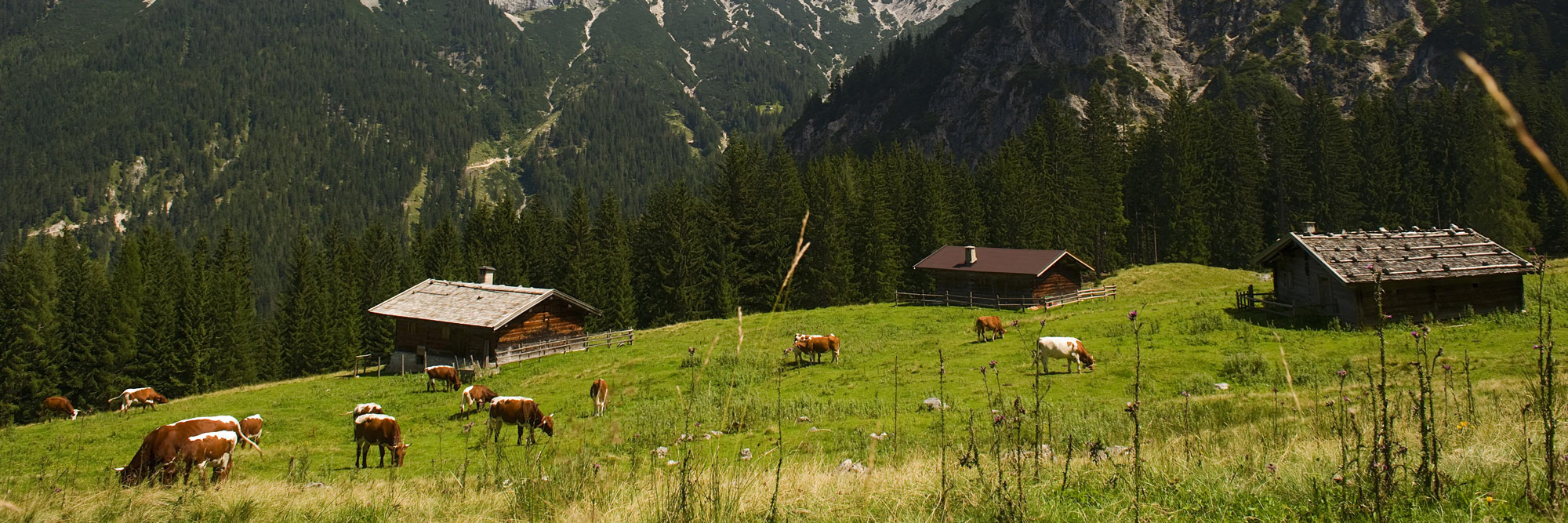 Almurlaub im Saalachtal